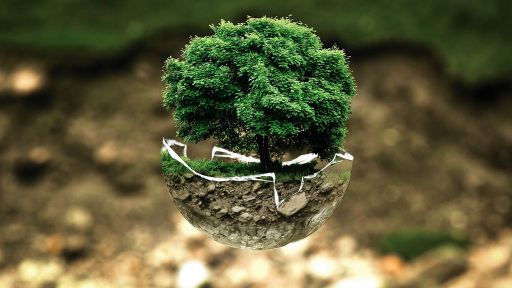 5 gestes simples pour réduire son impact environnemental