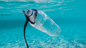 Pollution plastique des océans : que faire ?