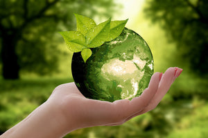 Comment éviter le greenwashing : 7 conseils pour des choix écologiques authentiques
