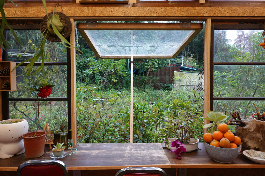 5 astuces pour une cuisine d’automne éco-responsable