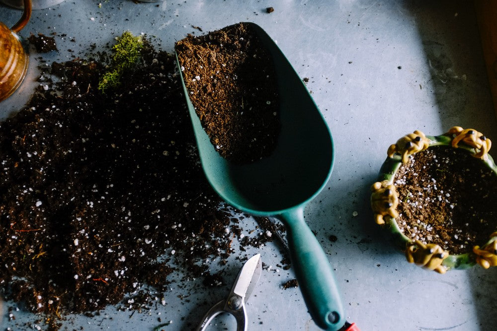 Faire son compost : 5 conseils pour y arriver