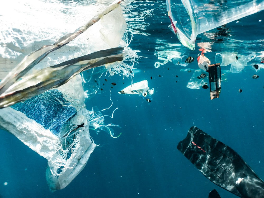 Microplastiques : qu'est-ce que c'est et pourquoi sont-ils dangereux ?